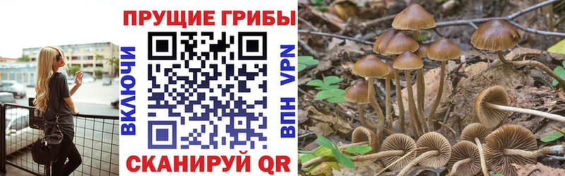 Галлюциногенные грибы GOLDEN TEACHER  купить наркотик  Ленинск-Кузнецкий 