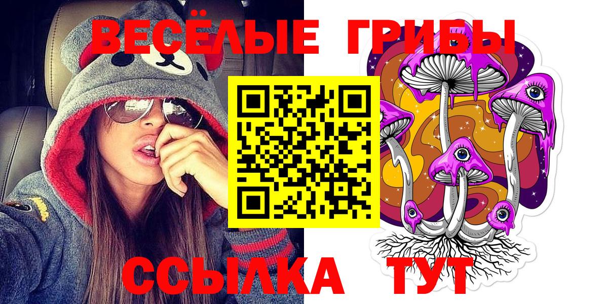 Псилоцибиновые грибы Psilocybe Ленинск-Кузнецкий