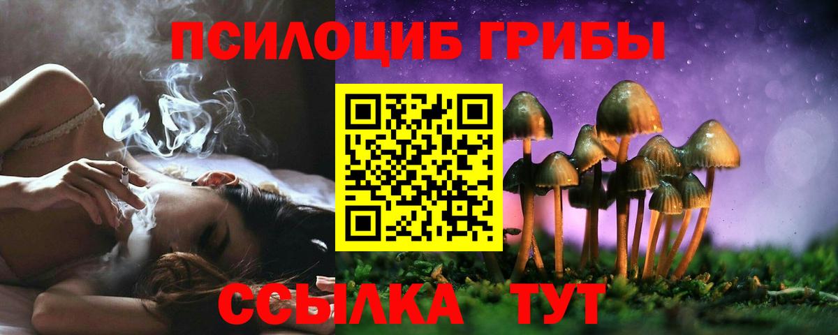 Ленинск-Кузнецкий  Галлюциногенные грибы Psilocybine cubensis  Вход с VPN 